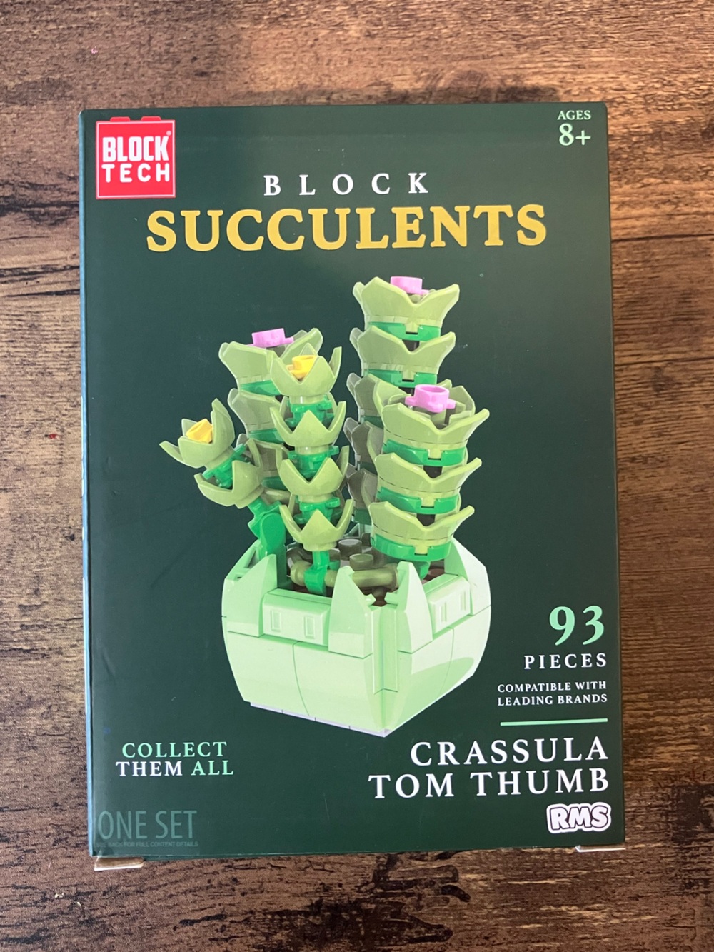Block tech succulents build set